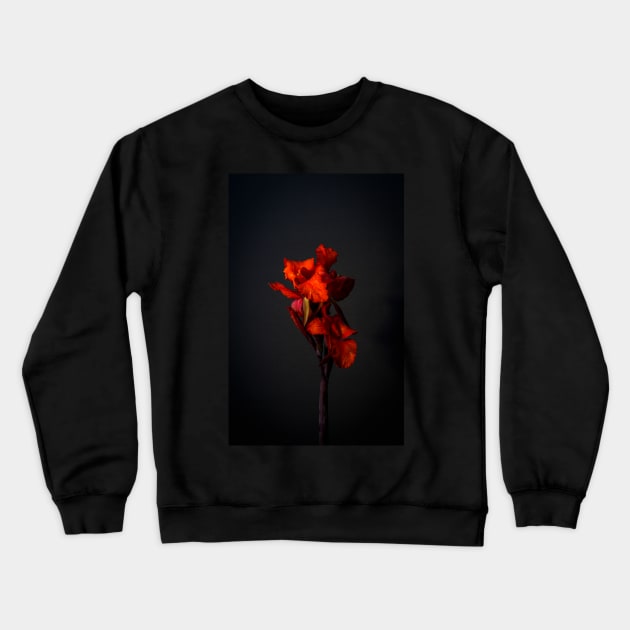 Red Canna Lilies Still Life Crewneck Sweatshirt by blossomcophoto